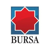 Telegram profile photo for Ziarul BURSA