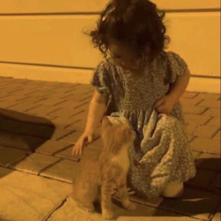 Telegram profile photo for هَتَّان.