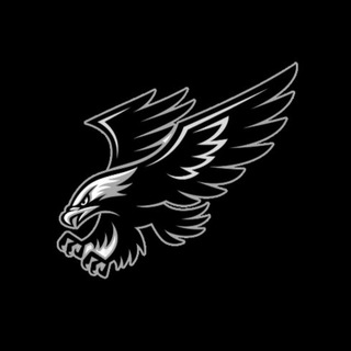 Telegram profile photo for 🦅SOKOLL CHANNEL