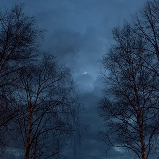 Telegram profile photo for you are a child of the universe