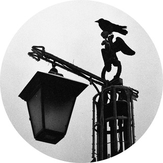 Telegram profile photo for Шёпоты и крики из гнезда