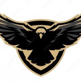 Telegram profile photo for Falcons 🦅