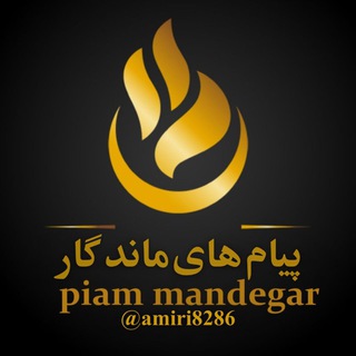 Telegram profile photo for محمد امیر امیری