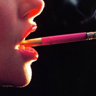 Telegram profile photo for what lies beneath