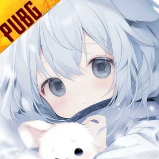 Telegram profile photo for 李旭加速🇨🇳官方聊天群