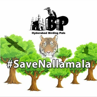 Telegram profile photo for Hyderabad Birding Pals