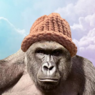 Telegram profile photo for Harambe Wif Hat /// Gateway