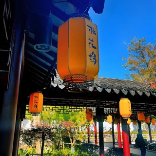 Telegram profile photo for 苏州桃花坞报告