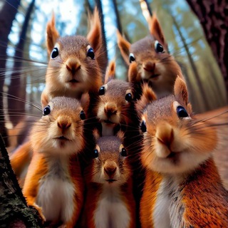Telegram profile photo for Открыточки для жизни