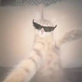 Telegram profile photo for My reviews | My proofs 💖