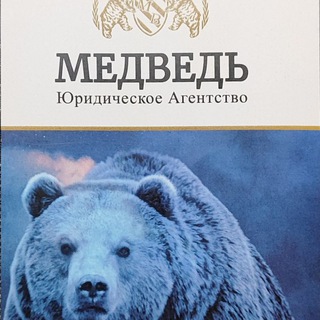 Telegram profile photo for Юридическое Агентство «МЕДВЕДЬ» (Ростов Н/Д, Бердянск)