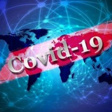 Telegram profile photo for Пандемия COVID-19. Как это было.