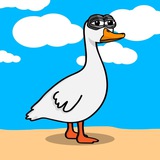 Telegram profile photo for $dukk CTO