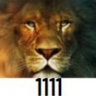 Telegram profile photo for Freedom Force Battalion 1111