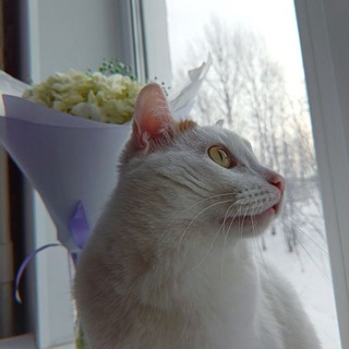 Telegram profile photo for Фреш ньюс🫵🏻