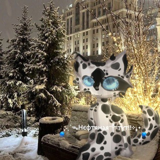 Telegram profile photo for 🪼˗ˏˋᯓⲎⲉⲫⲧяⲏⲁя༒ⲧⲩⲧ!!⊹₊⋆🪼