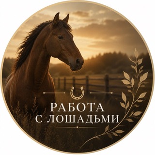 Telegram profile photo for Работа с лошадьми