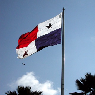 Telegram profile photo for Panama Live