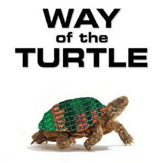 Telegram profile photo for Way of the turtle