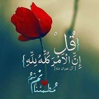 Telegram profile photo for امراء المستقبل🤴👸