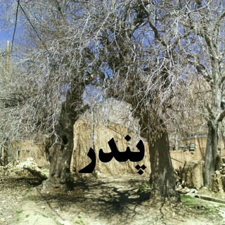 Telegram profile photo for کانال هواشناسی و حوادث پندر