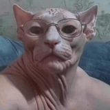 Telegram profile photo for гнэем в крмп^^