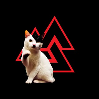 Telegram profile photo for Volk News