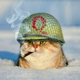 Telegram profile photo for Shannan Says ‘The Scoop’ News