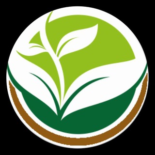 Telegram profile photo for 🌿 پزشک سنتی 🌿