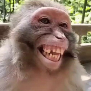 Telegram group profile photo for πββπππ ππππππππ ππ
π
πππππββ€οΈ