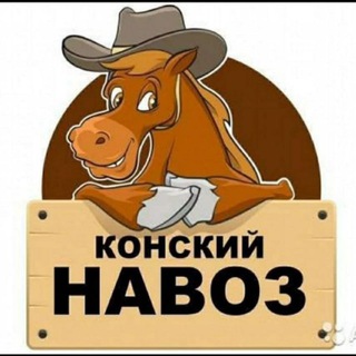 Telegram profile photo for navoz