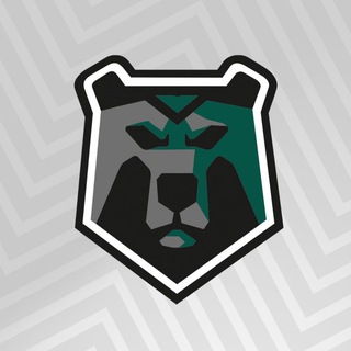 Telegram profile photo for ВК «Черные Медведи-Политех»