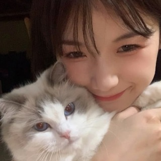 Telegram profile photo for 深夜樹洞💗