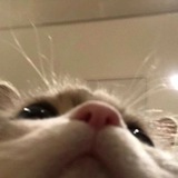 Telegram profile photo for TUKER GRUP TELE 2020-2023! OPEN!