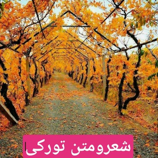 Telegram profile photo for شعرومتن تورکی