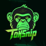 Telegram profile photo for TonSnip Trending