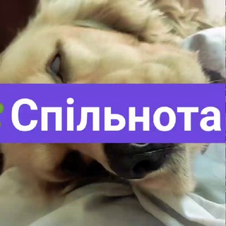 Telegram group profile photo for 🇺🇦Відкритий чат "Проста Крипта"