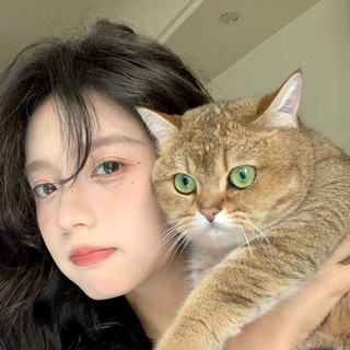 Telegram group profile photo for SnowChat☁️
