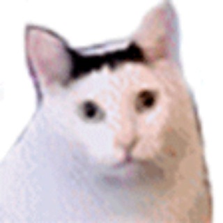 Telegram profile photo for Inmateoo