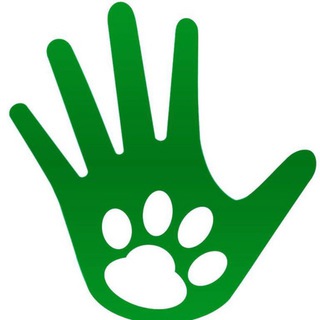 Telegram group profile photo for Новокосино_ Dogs