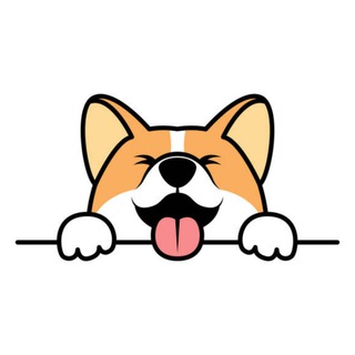 Telegram profile photo for Corgidoge Official News