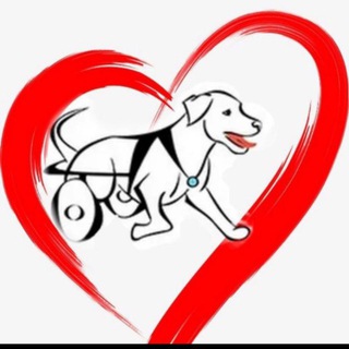 Telegram group profile photo for Помощь животным чат