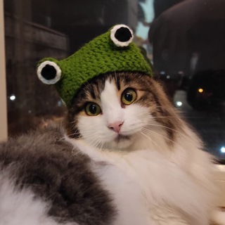 Telegram profile photo for Мемотерапия