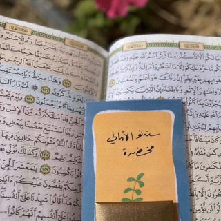 Telegram profile photo for قناة تهتم بالتجويد وعلومه والقرآن 📝