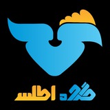 Telegram profile photo for بازرگانی گروه اطلس