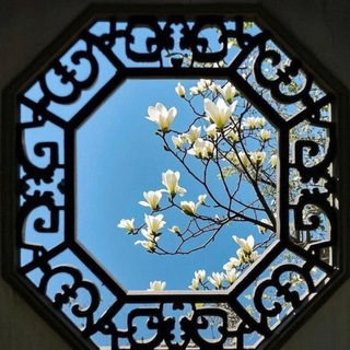 Telegram profile photo for الـدُرَّة