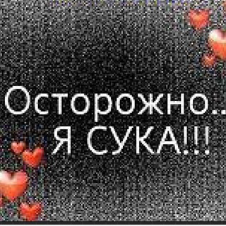 Telegram profile photo for Слушать музыку бесплатно