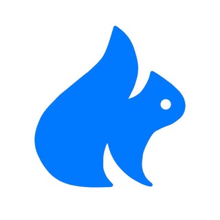 Telegram profile photo for 🐿 Belki Team