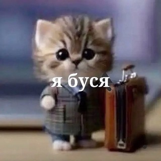 Telegram profile photo for animals