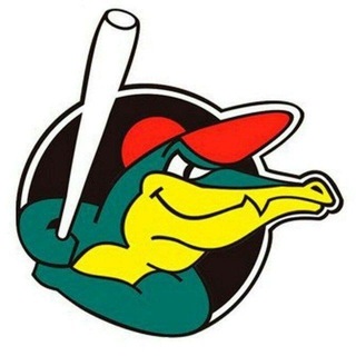 Telegram profile photo for 🐊⚾️COCODRILO DE MATANZAS (Canal)